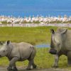 Lake-Nakuru-Naitional-Park