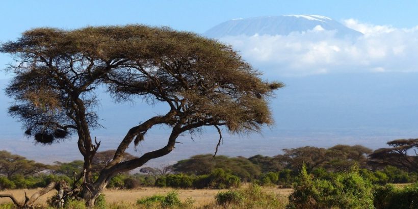 kilimanjaro-from-Amboseli